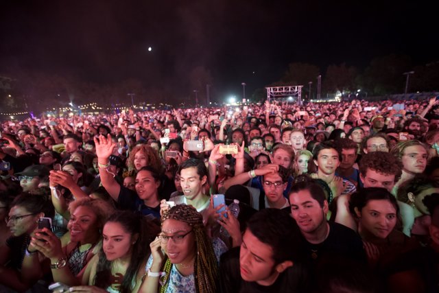 Nightlife Gathering: A Crowded Concert at Night