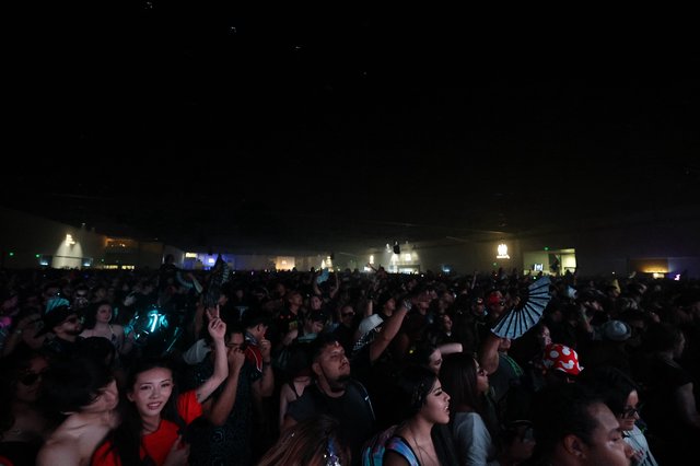 Massive Night Crowd Erupts at Wobbleland 2026 Festival
