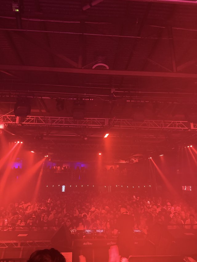 Skrillex and Four Tet Concert Red Light Atmosphere