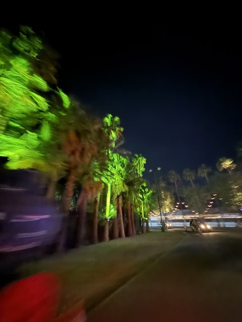 Night Lights of Indio