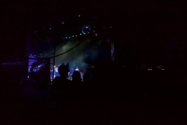 Electrifying Night at Coachella Concert