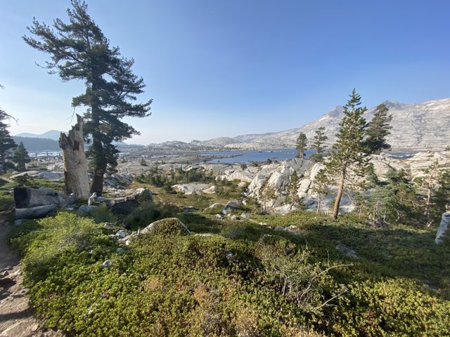 Majestic Mountaintops and Lush Forests in Desolation Wilderness