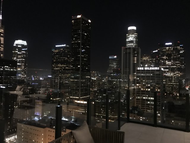 Night View of the Los Angeles Metropolis