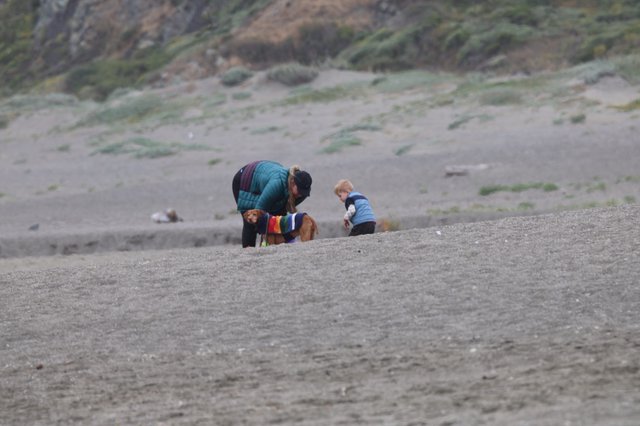 Family Beach Moment with Dog in Rainbow Sweater