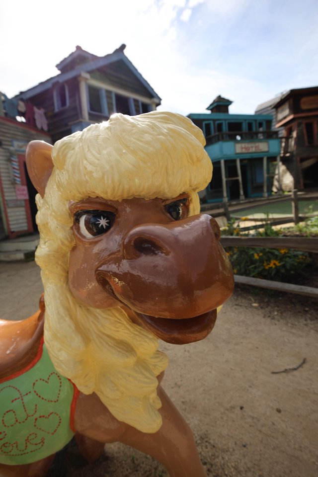 Colorful Camel Carousel Figure at Popeye Village