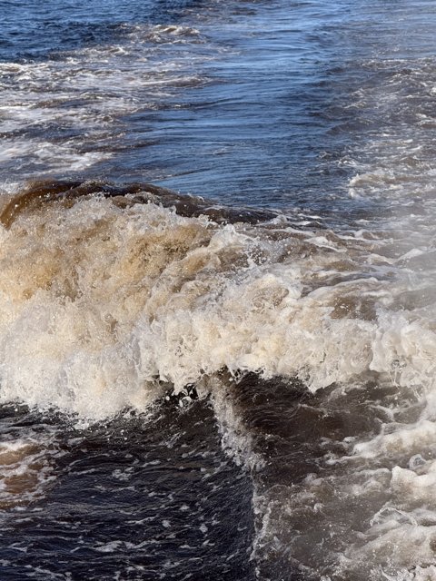 Waves of the Farallones