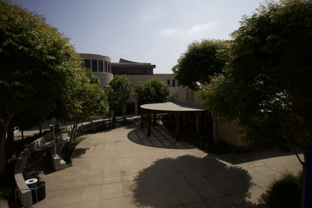 Tranquility in the Temple Brawerman School Courtyard