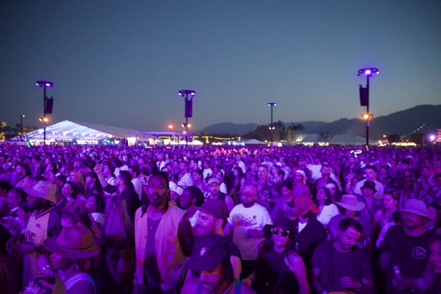 Electric Vibes: Coachella Nightfall Magic