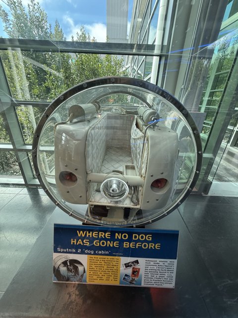 Canine Cosmonaut Capsule