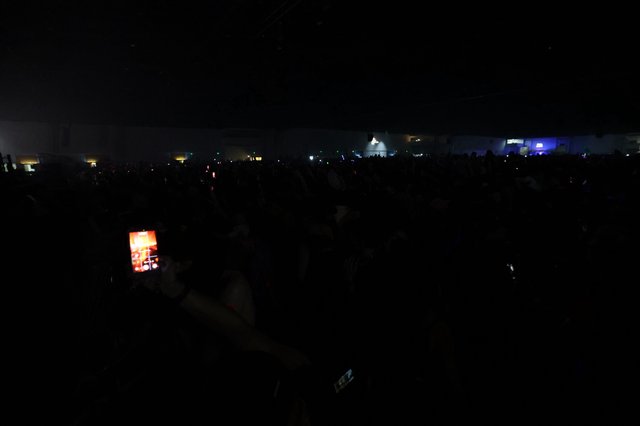 Sea of Shadows: Wobbleland Festival Crowd at Night