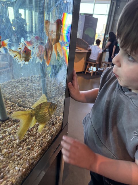 Wonder at the Aquarium