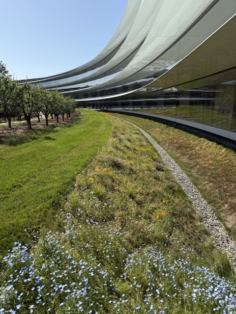Harmony in Architecture and Nature