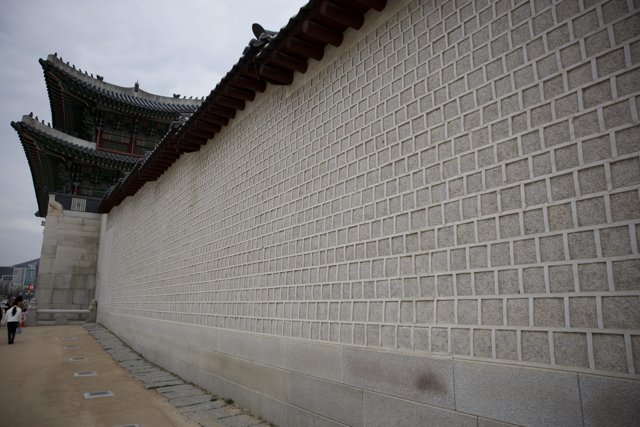 Urban Tapestry: Where Old Meets New, Korea 2024
