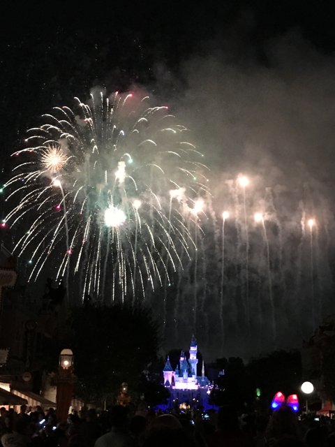 Spectacular Fireworks Show at Disneyland