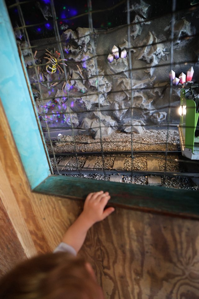 Child Viewing Fantasy Mine Train Diorama Display