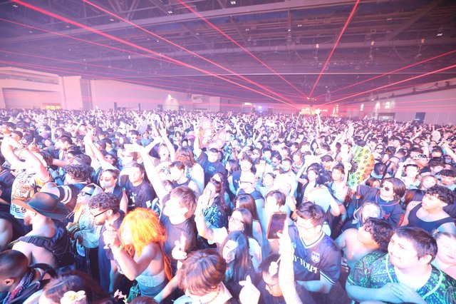 Massive Crowd Surges at Wobbleland 2026 Rave