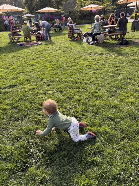 Exploring the Great Green