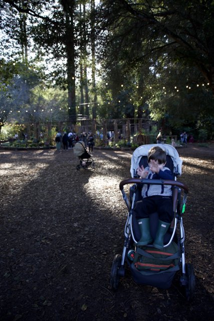Woodland Wonder at Thistlewyck