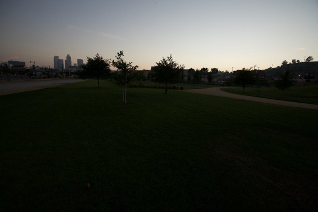 Sunset over the Grass Field