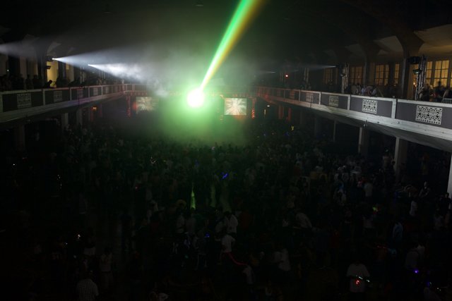 Bright and Buzzing: The Nightclub Scene Comes Alive