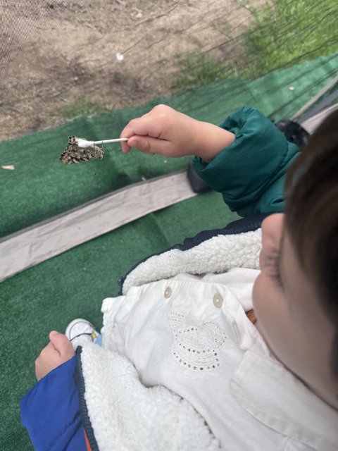 Nature's Gentle Touch