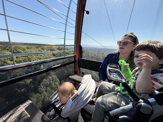 Soaring Above the Oakland Zoo