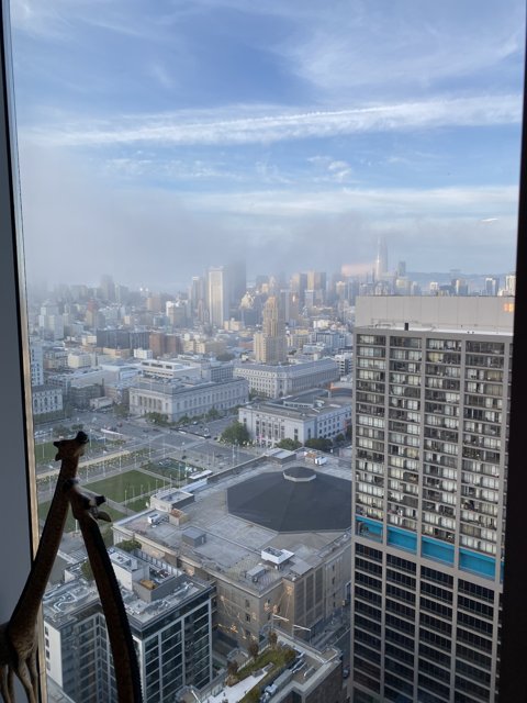 Giraffe's View of the San Francisco Skyline