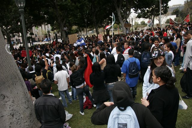School Walkout Protest in the Park