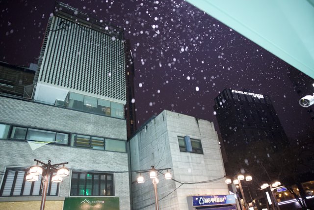 Urban Winter Wonderland in Korea, 2024