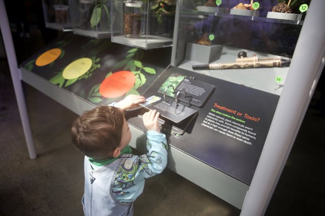 Exploring Biodiversity at the California Academy of Sciences