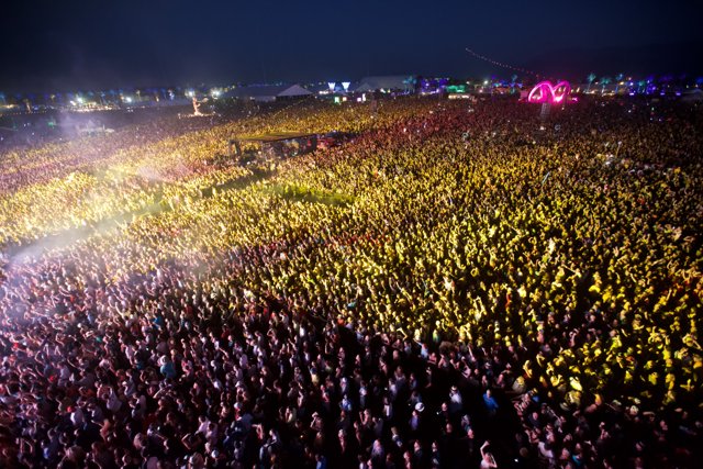 A Sea of Music Lovers