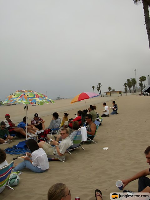 Fun in the Sun: A Summer Day at the Beach