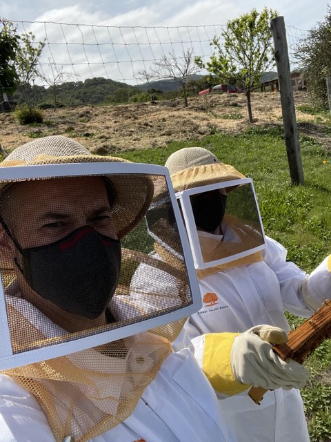 Beekeepers at Work