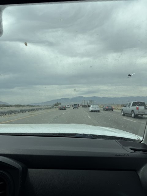 Journey Under a Cloudy Sky
