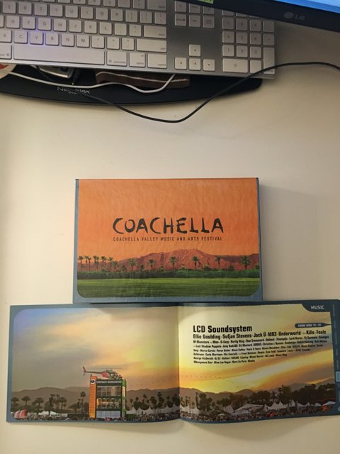 The Ultimate Guide to Coachella 2017