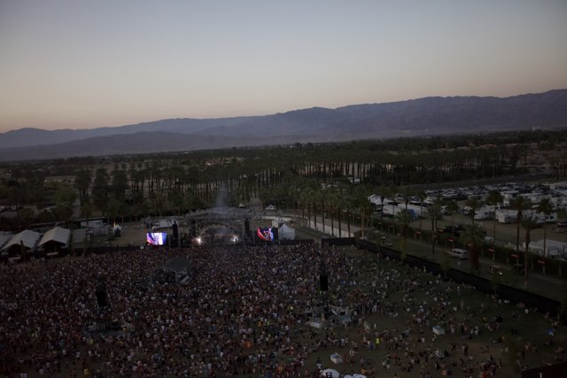 Coachella 2012: Living the Concert Experience