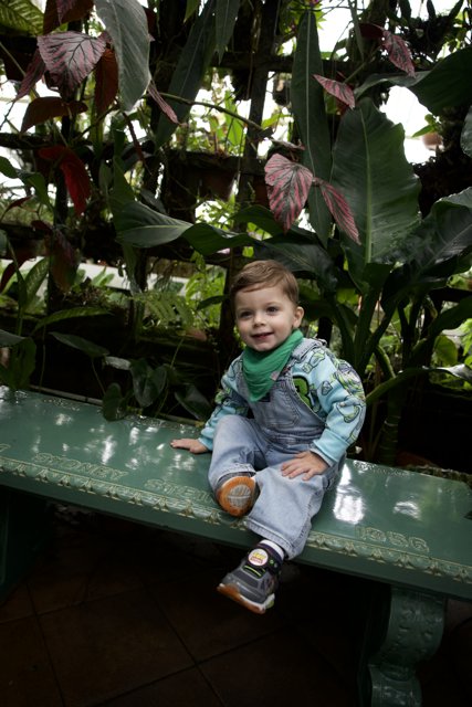 Greenhouse Serenity: A Young Botanist in the Making