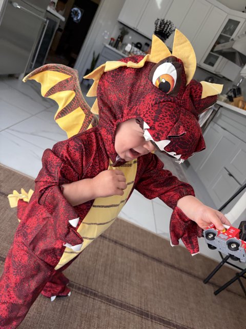 Little Dragon's Day Out
