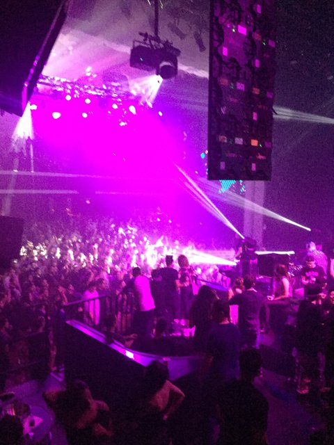 Purple Haze Nightclub Extravaganza