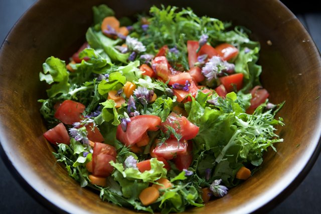 Fresh and Colorful Garden Salad
