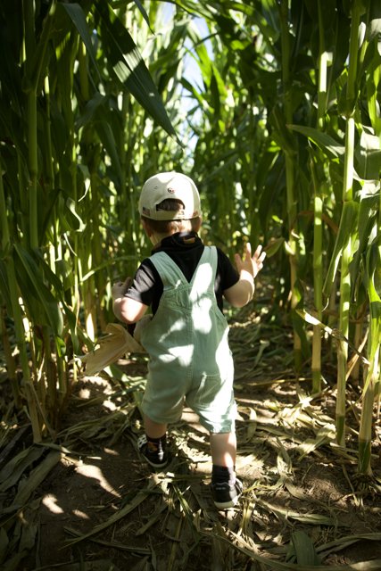 The Young Explorer on the Track: A Day with Wesley Metzgar in Corn Fields