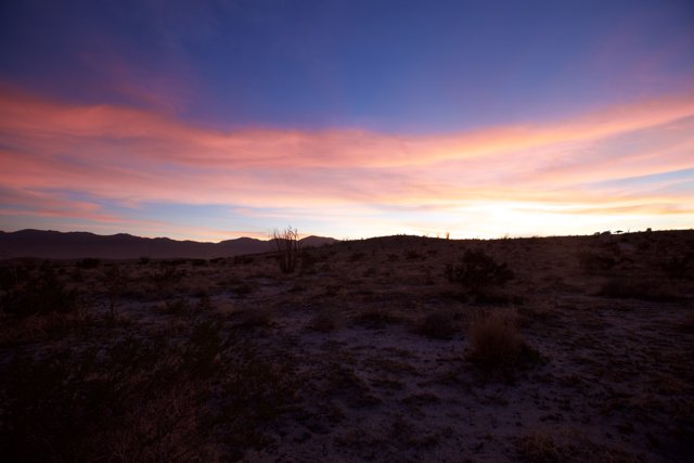 Desert Sunset Splendor