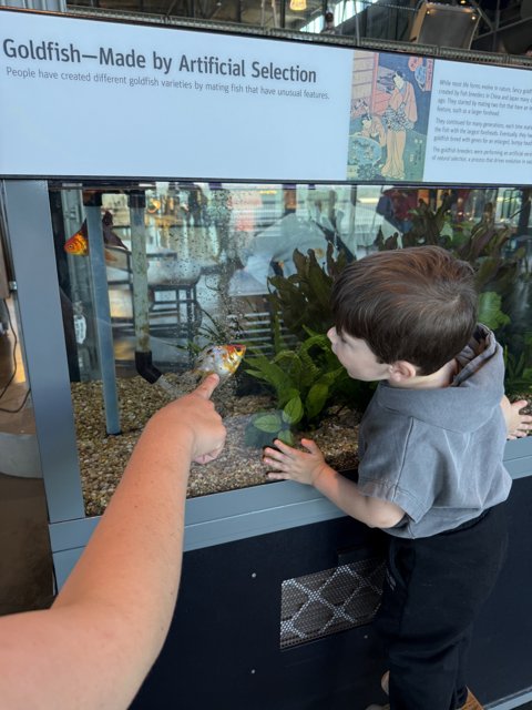 Exploring the Wonders of Sea Life