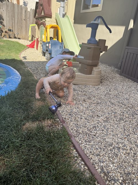 Backyard Adventures