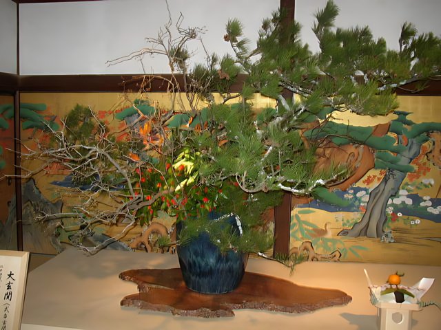 Blue Vase Bonsai