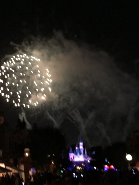 Spectacular Fireworks Display at Disneyland