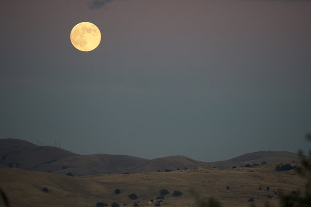 Luminescent Night Over Walnut Creek