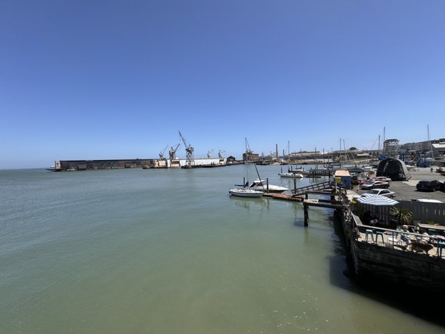 Busy Day at the San Francisco Waterfront