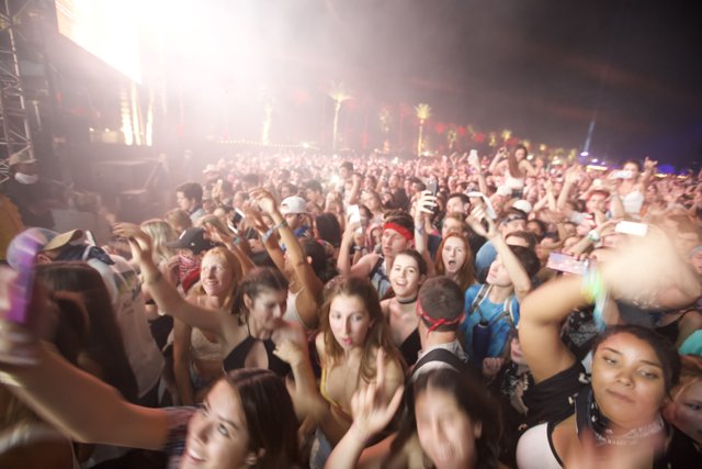 Crowd of Fun-seekers at Coachella 2016