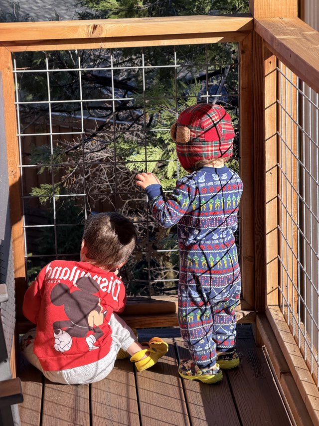 Two Children Exploring Snowy Yosemite Deck Together